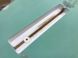 �I�[�o�[�z�[�� patago 1_6